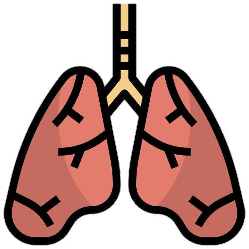 Human Lungs Icon Png 