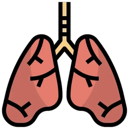 Human Lungs Icon Png 