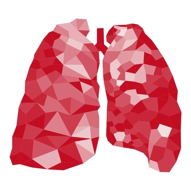 lung-9