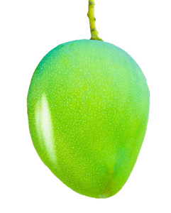 Green Mango Png