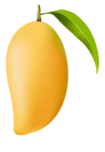 Mango clipart Png