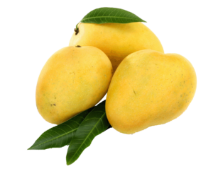 Yellow Mangoes Png
