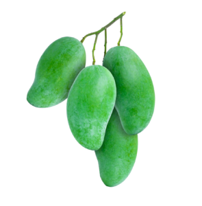 Group of Green Mangoes Png