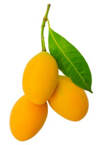 Natural Yellow Mango Png