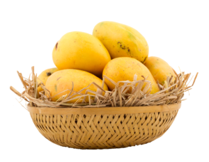 Mangoes in Basket Mango Png