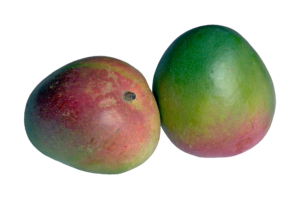 Two Green Mango Png