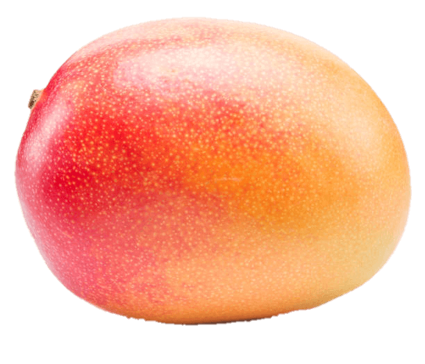 Transparent Mango Png