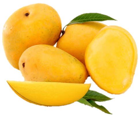 Fruits Mango Png