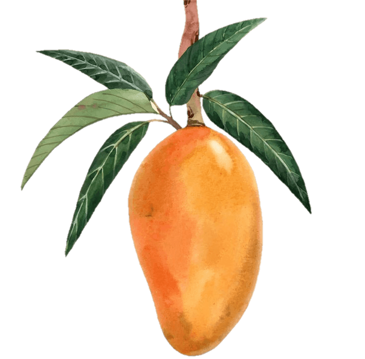 mango-7