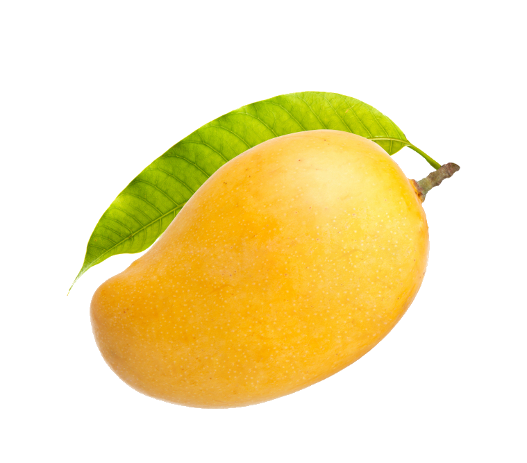 Mango PNG Images free Download - Pngfre