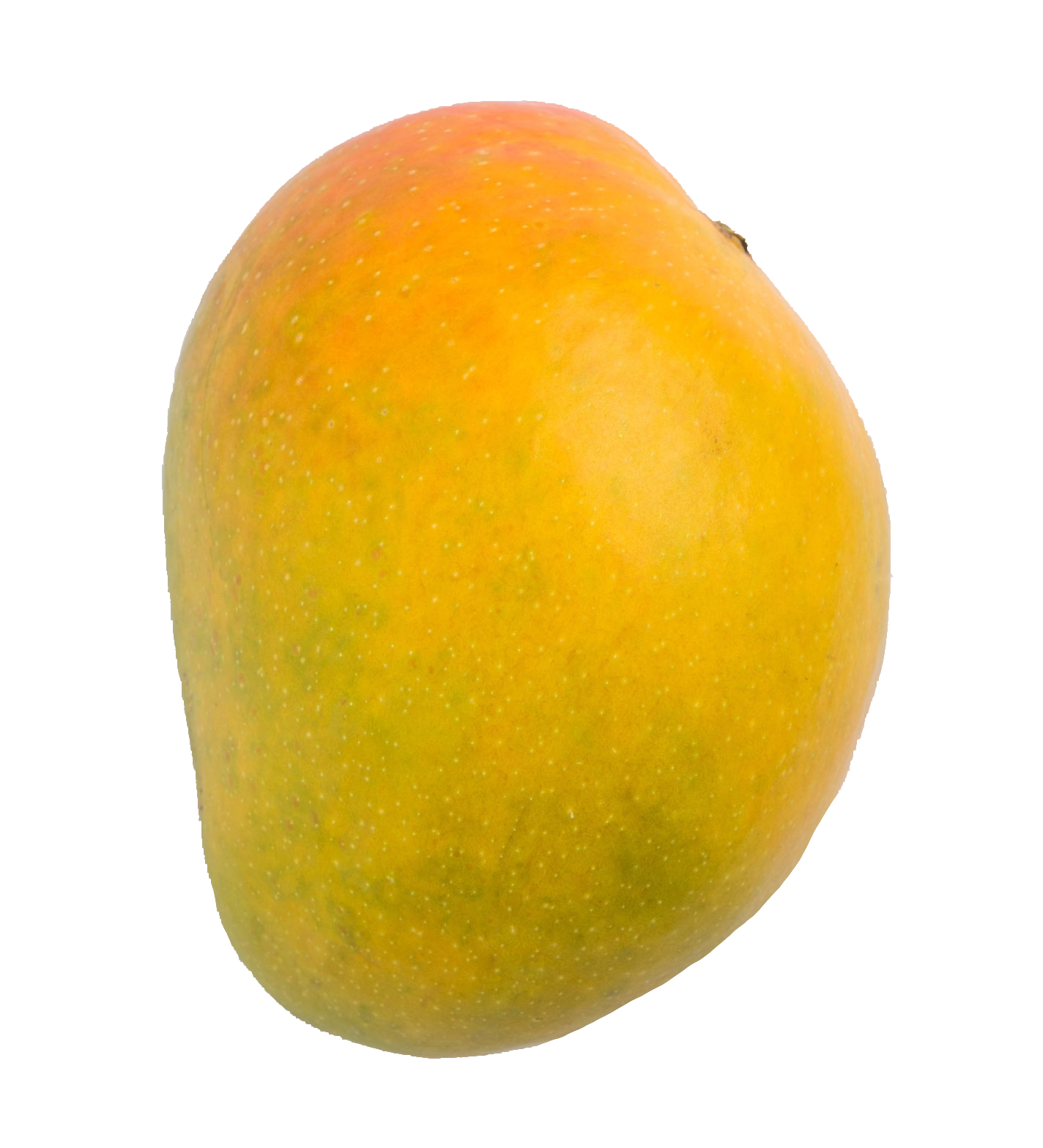 mango-73