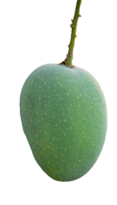 Transparent Green Mango Png