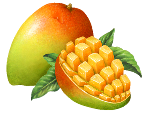 mango-png-from-pngfre-1