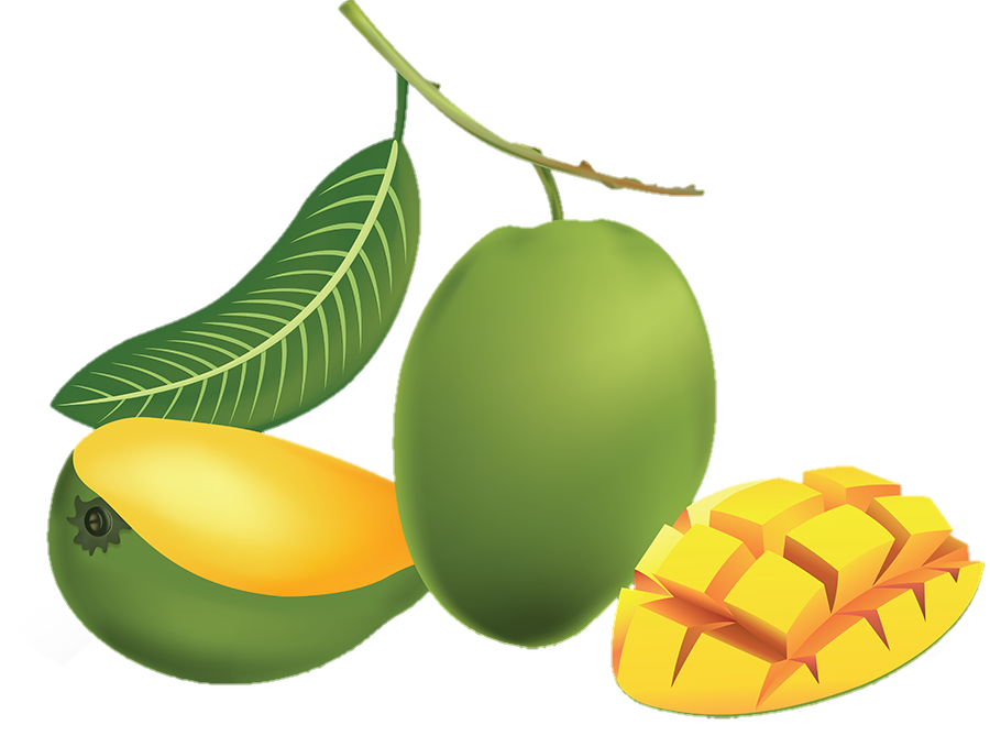 Green Mango Png Vector