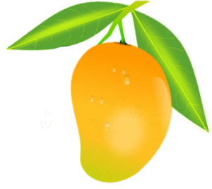 Mango PNG Transparent Images Free Download - Pngfre