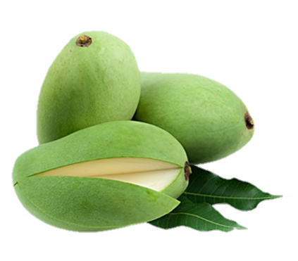 mango-png-from-pngfre-18