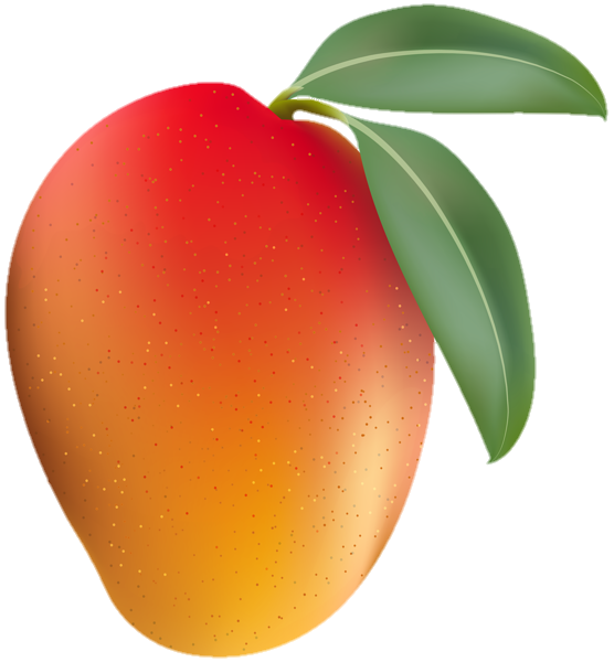 mango-png-from-pngfre-19