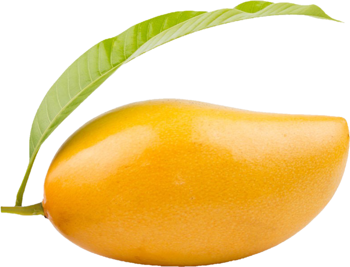 mango-png-from-pngfre-8