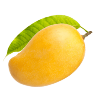 Mango Png Image