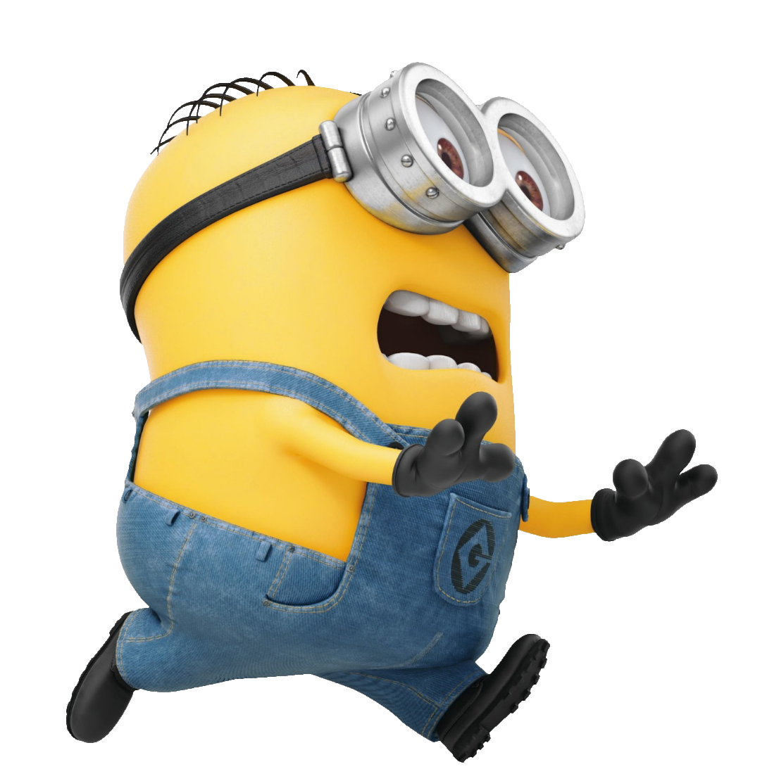 minion-12