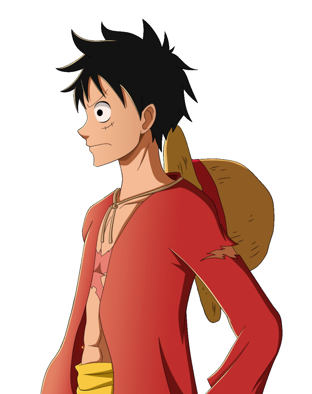 monkey-d-luffy-13