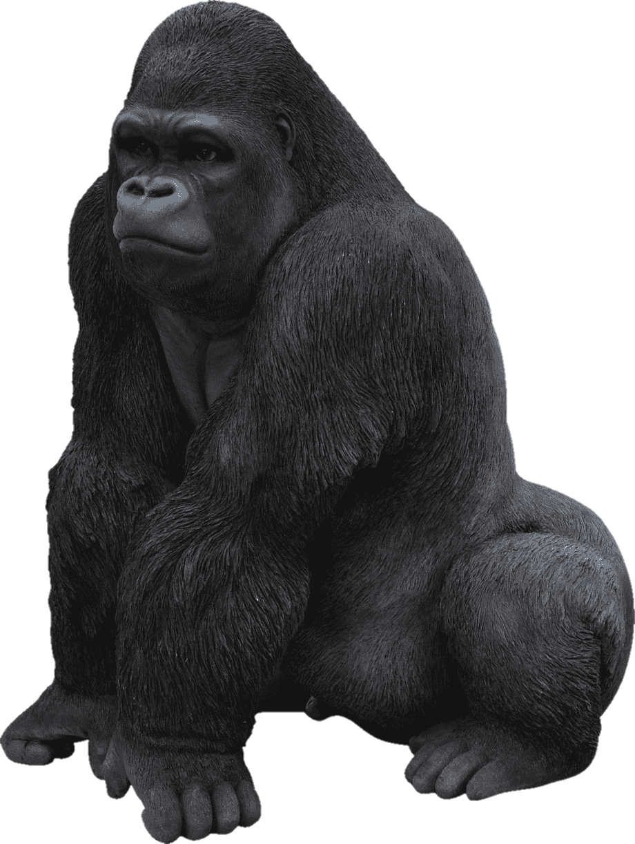 monkey-png-image-from-pngfre-11