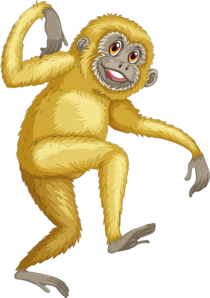 Old World Monkey PNG and Old World Monkey Transparent Clipart Free  Download. - CleanPNG / KissPNG