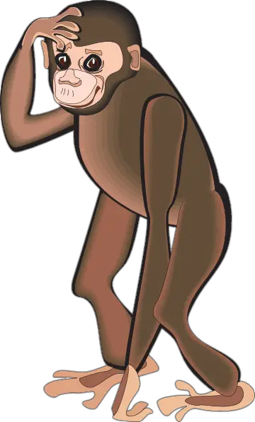 Monkey Png vector image