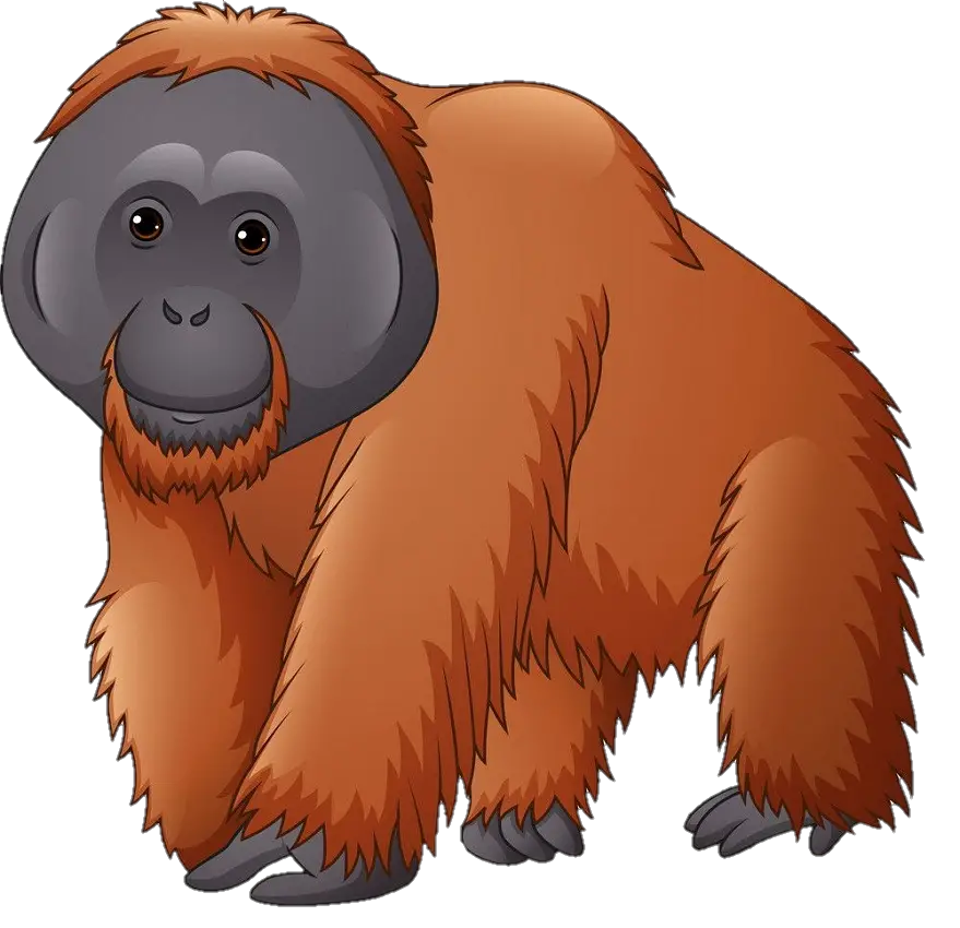 Transparent Big Monkey Png