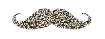 mustache-png-from-pngfre-23
