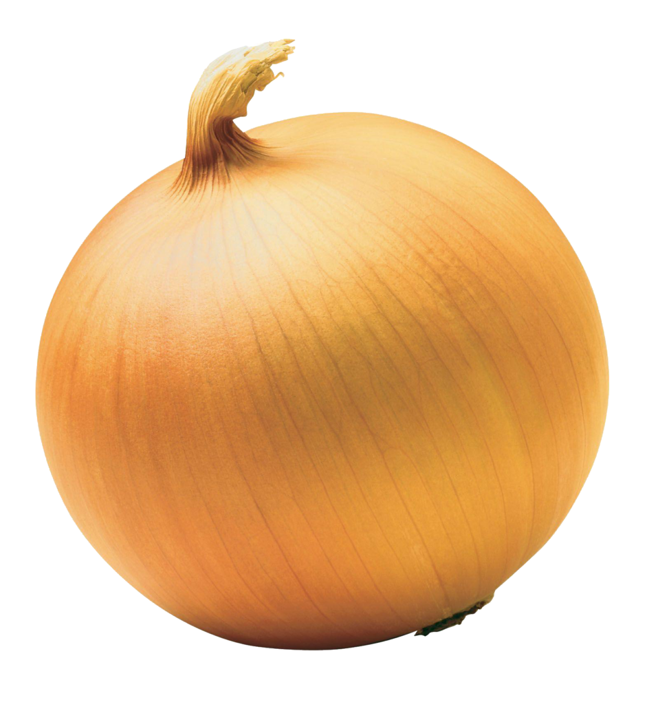 Yellow Onion png