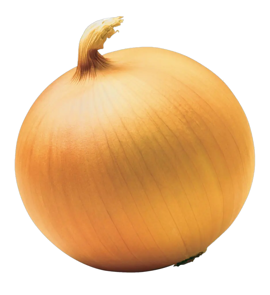 Yellow Onion Png