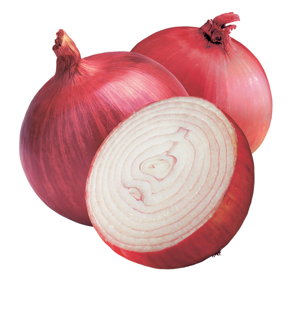 Red Onion png