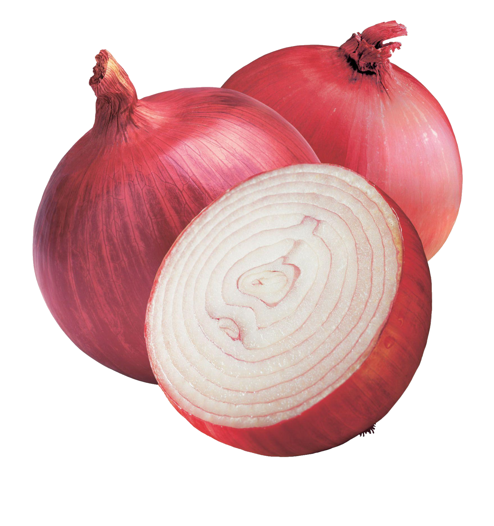 onion-31
