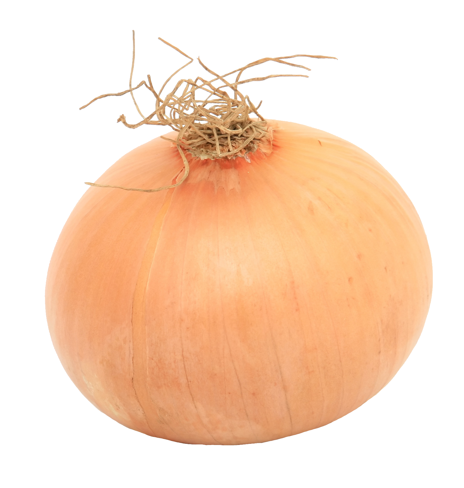 onion-34