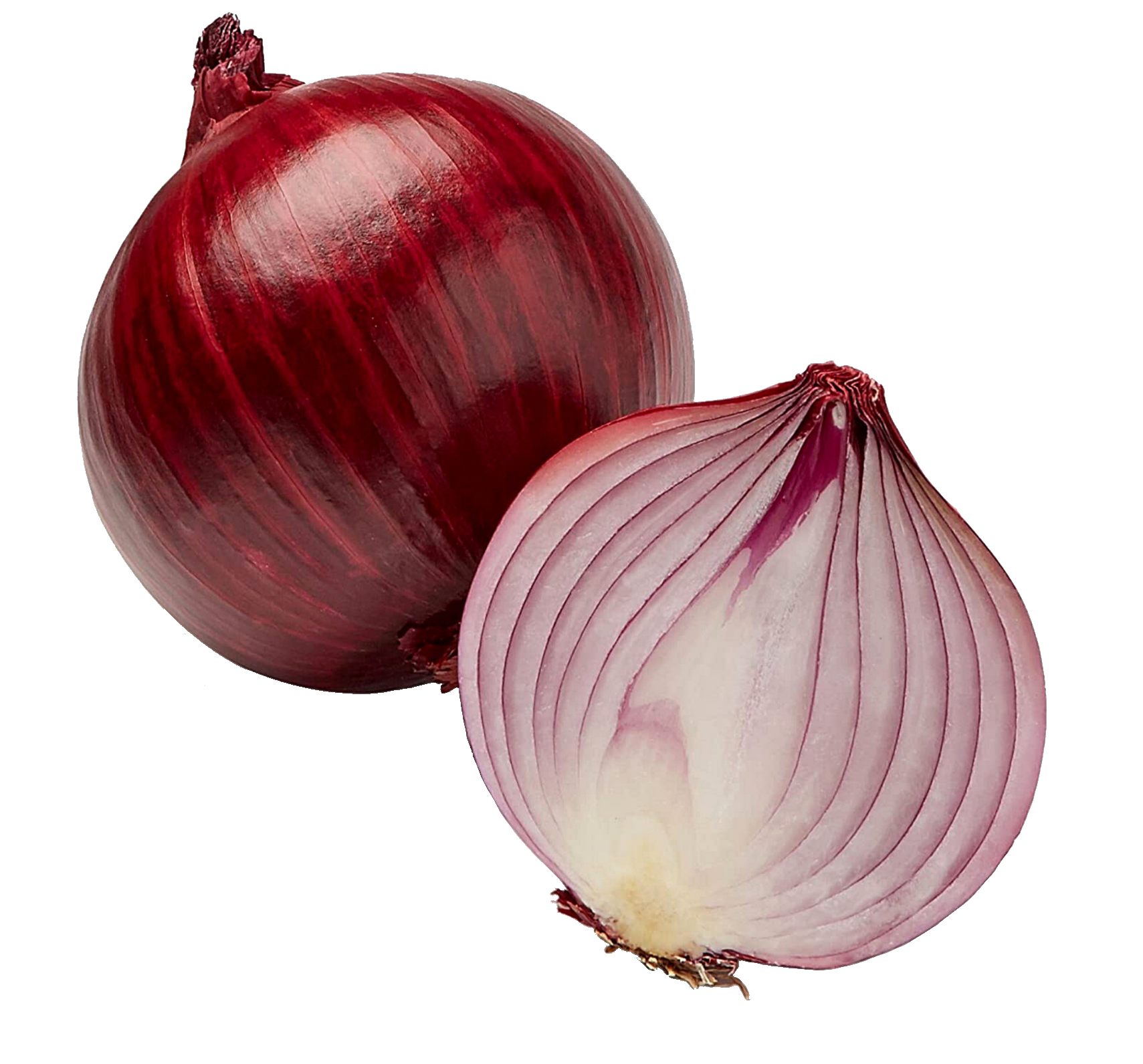 onion-35-1