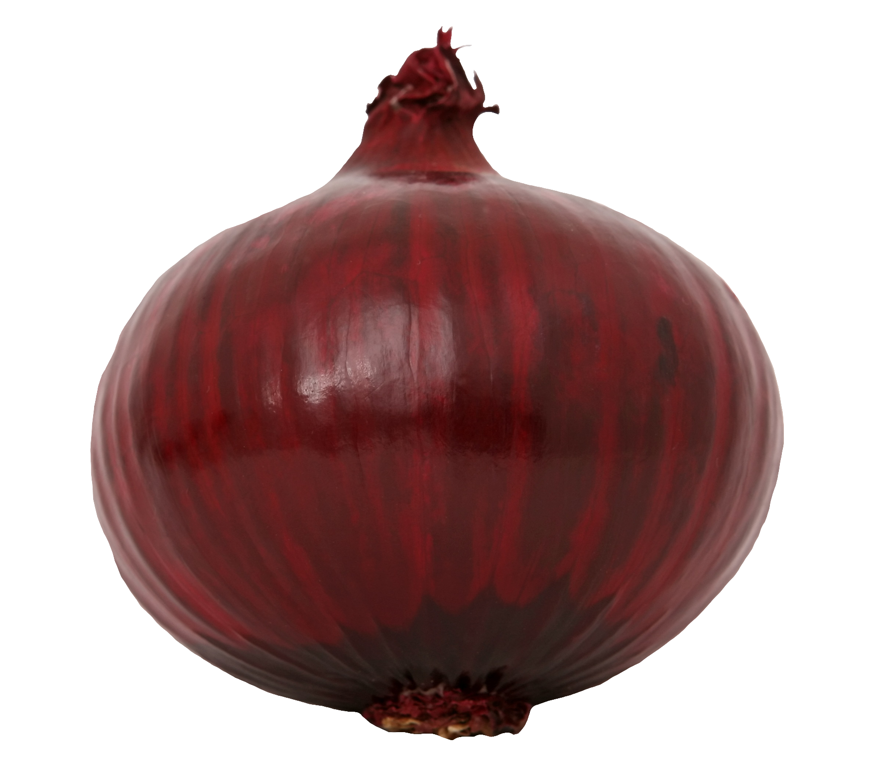 onion-36
