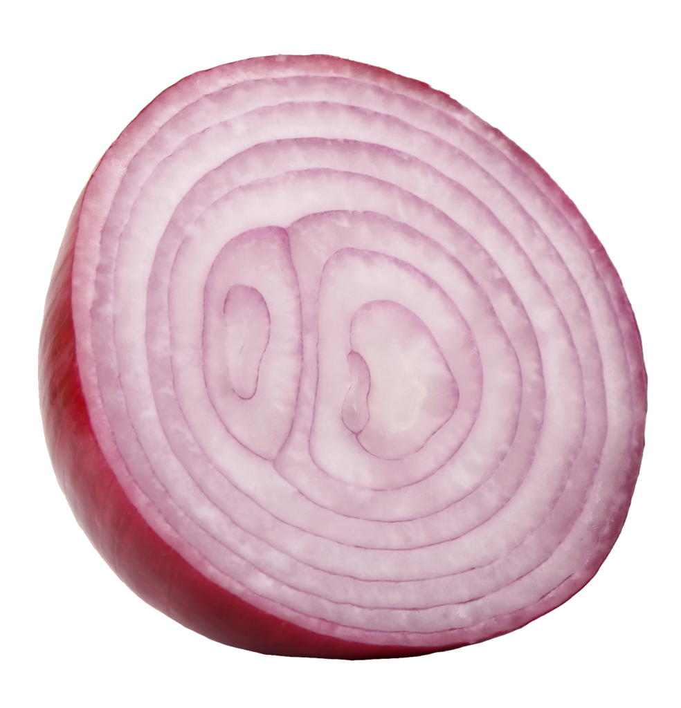 Half Onion png