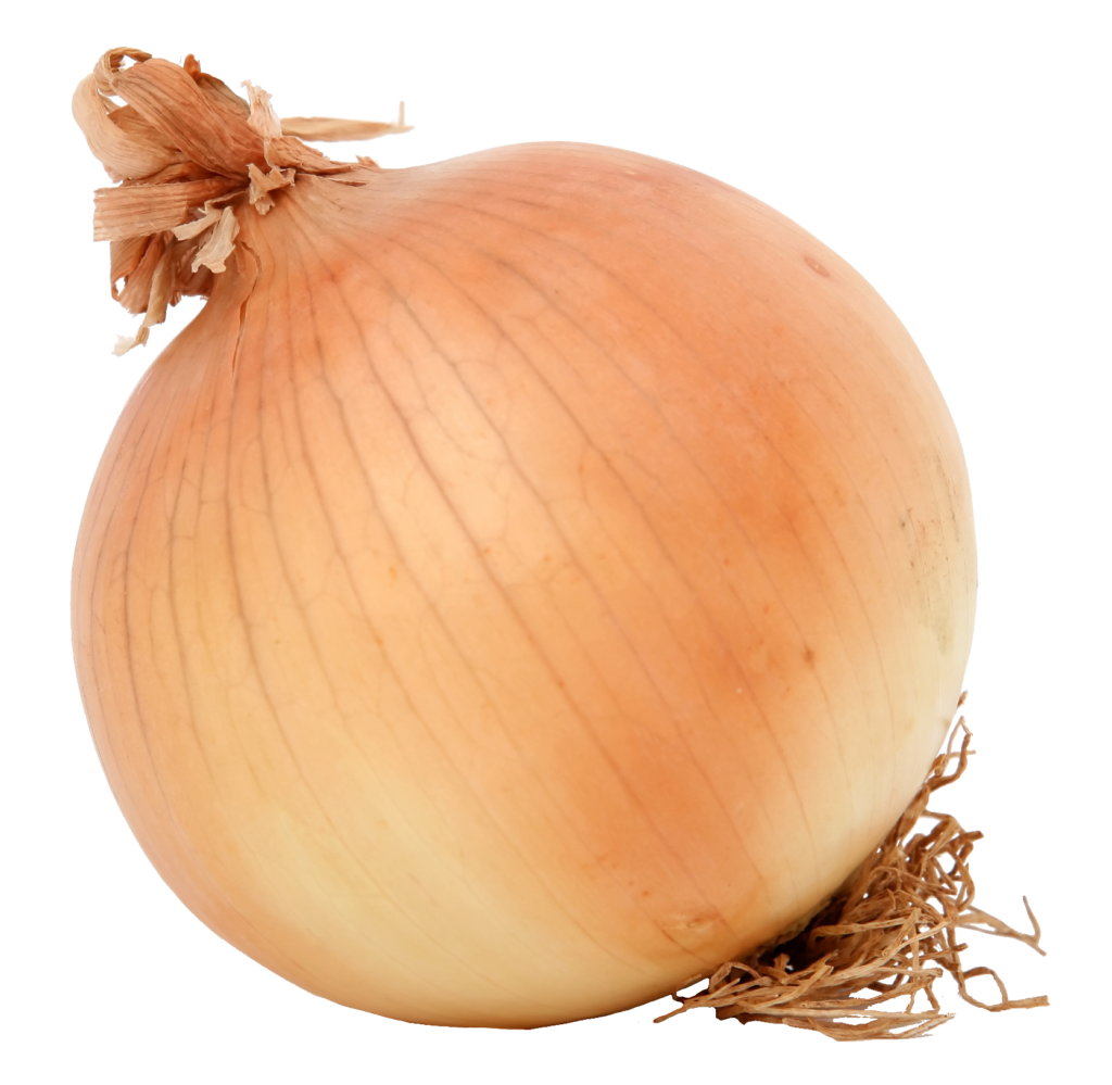 Yellow Onion png