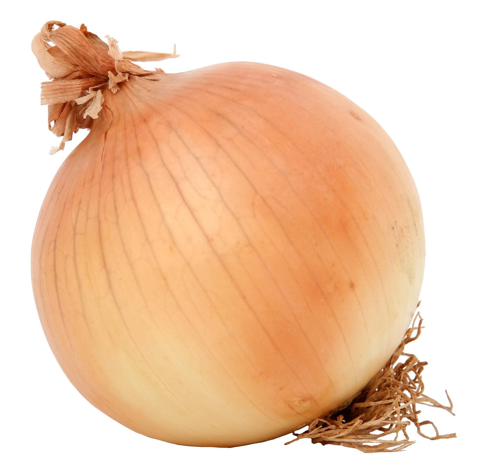 onion-38
