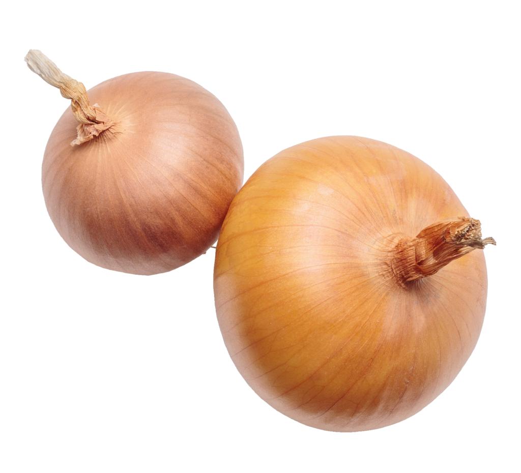 Two Yellow Onion png