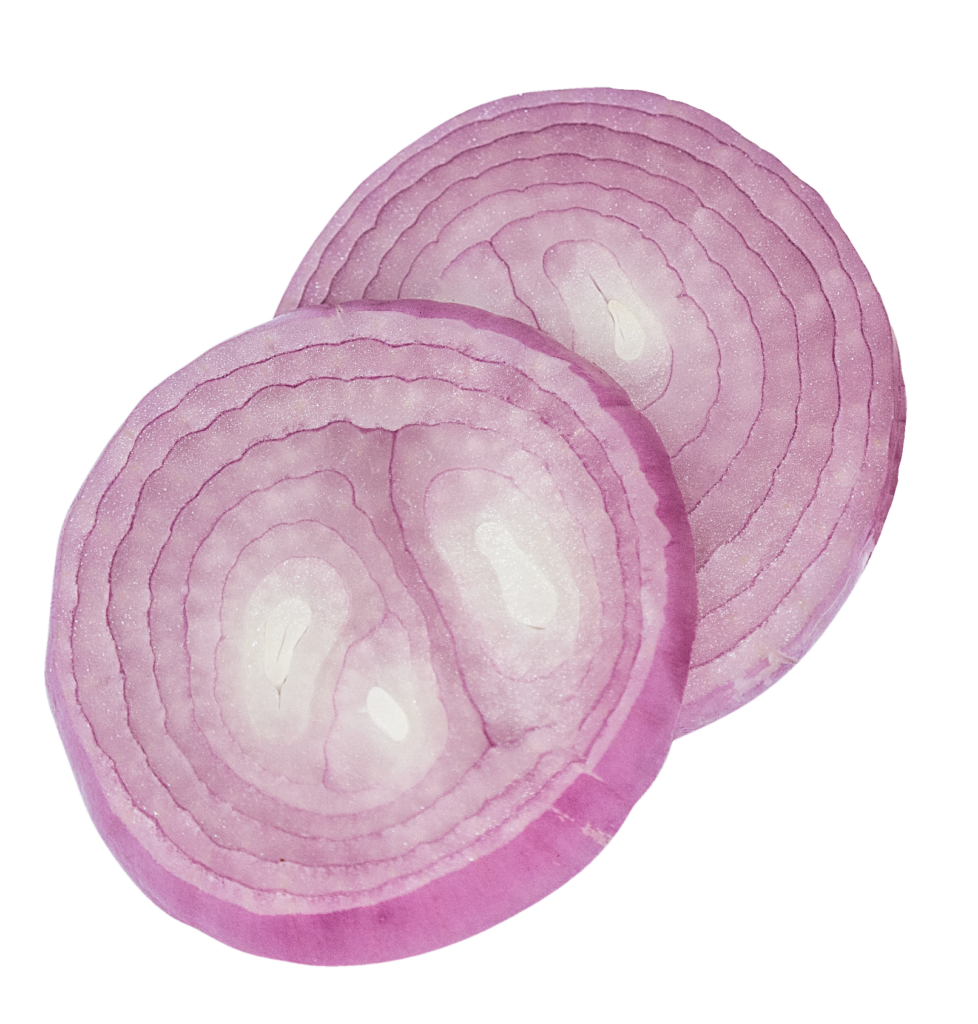 Onion Sliced png