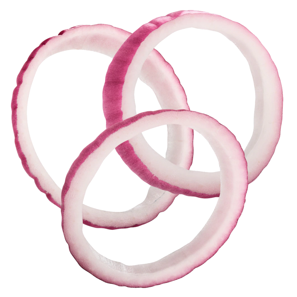 Onion Rings png