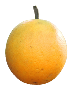 Full Orange Fruit PNG