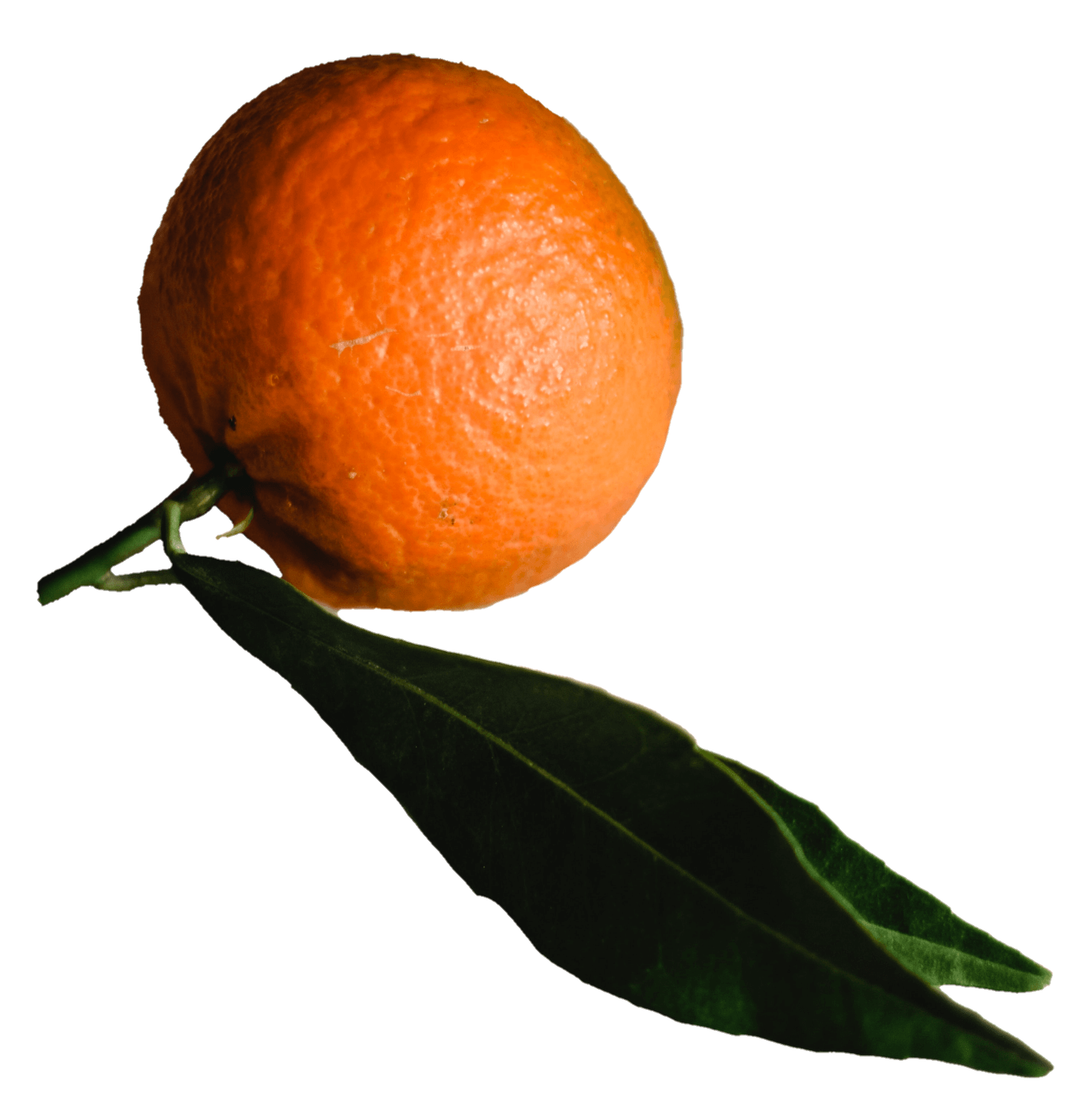 orange-18