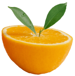 Best Orange Fruit PNG