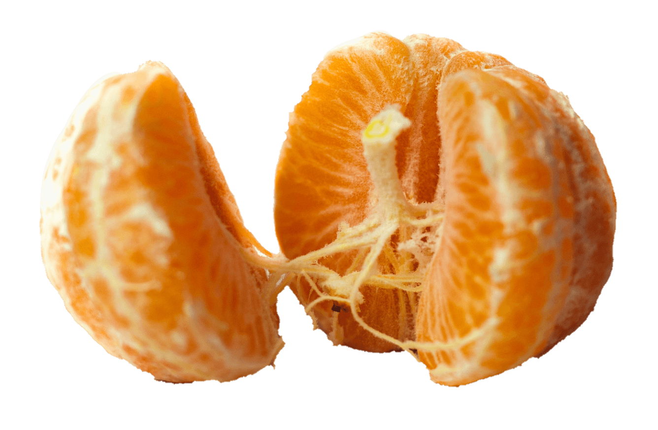 orange-24