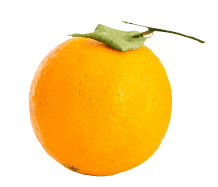 orange-29