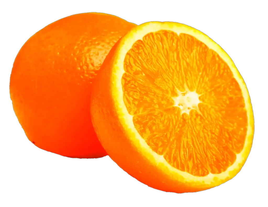 transparent orange fruit