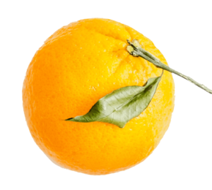 Hd Orange Fruit PNG